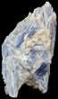 Kyanite Crystal Cluster with Quartz - Brazil #44998-1